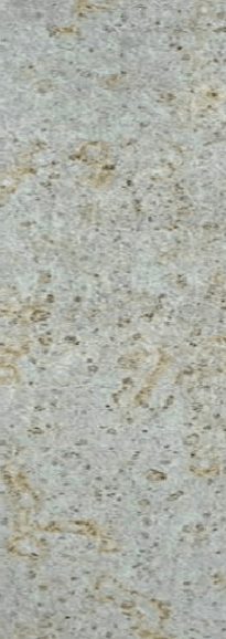 Beige Travertine