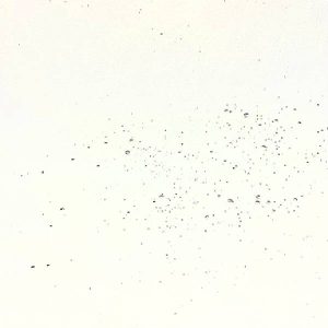 Beton Beige by India Wallpaper Distributors