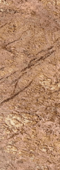 Brown Forest by Stone laminate suppliers in india