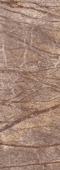Choco Forest by stone laminate suppliers in india