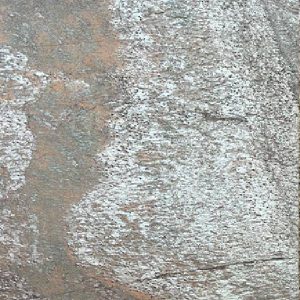 Golden Goose by Jaipur stone veneer manufacturers