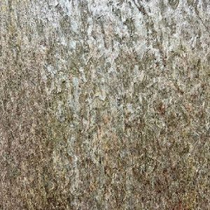 Golden Goose 2 by Decorative laminate suppliers in Jaipur