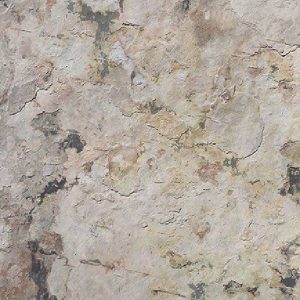 Indian Autumn by Indian stone laminate creators