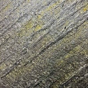 Luxury Metal Gold by Decorative wallpaper providers in Delhi