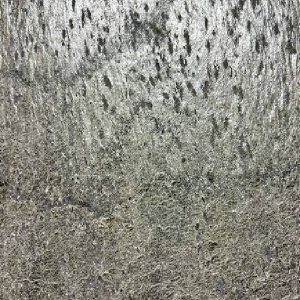Silver Shine 2 by Stone sheet distributors in Jaipur