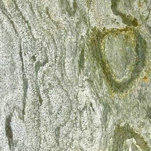 Zeera green Jaipur stone veneer suppliers